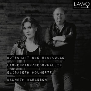 Botschaft Des Ridicolas , Elisabeth Holmertz