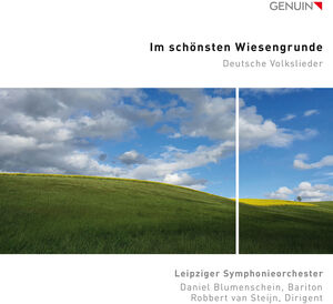Im Schonsten Wiesengrunde , Leipziger Symphonieorchester