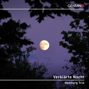 Verklarte Nacht , Ulrich Horn