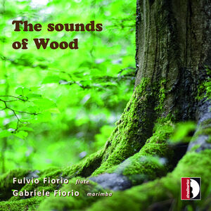 Sounds of Wood , Fulvio Fiorio