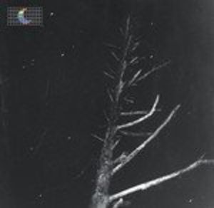 (Colour of the Night) Satellite , Peter Broderick