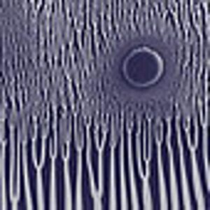 Grimm Robe Demos , Sunn O)))
