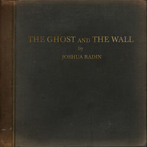 The Ghost and the Wall , Joshua Radin