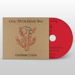 Crow Sit on Blood Tree , Graham Coxon
