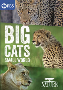 Nature: Big Cats, Small World , David Oyelowo