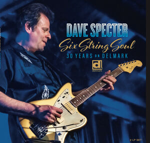 Six String Soul: 30 Years On Delmark , Dave Specter