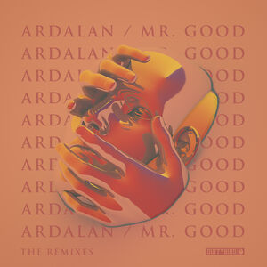 Mr. Good - The Remixes