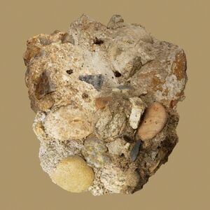 Absence - incl. Booklet. [Import]