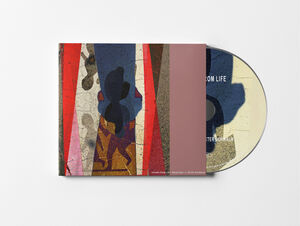 Drawn From Life - 6 Panel 3 Fold Digipak [Import] , Brian Eno