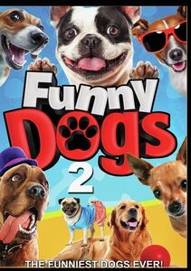 Funny Dogs 2