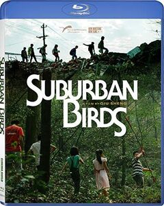 Suburban Birds