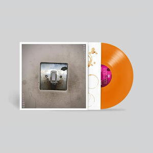 Pando - Orange