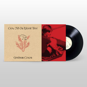 Crow Sit on Blood Tree , Graham Coxon