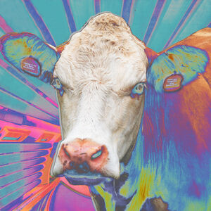 Eyes Of Others , Eyes Of Others