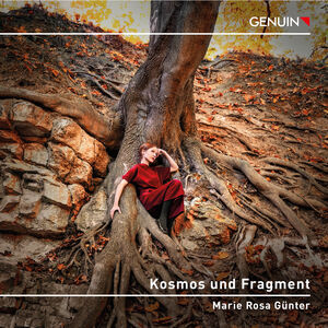 Kosmos Und Fragment , Marie Rosa Gunter