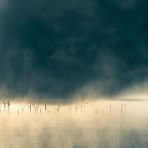 Convivium , Oneirogen