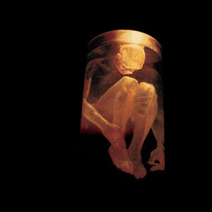 Nothing Safe: Best of , Alice in Chains