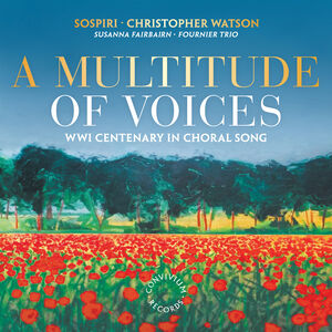 Multitude of Voices , Various Artists