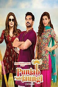 Punjab Nahi Jaungi