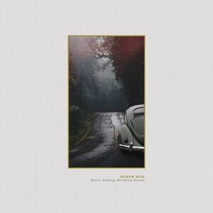 Never Ending Winding Roads , Steve Bug