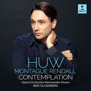 Contemplation , Huw Montague Rendall