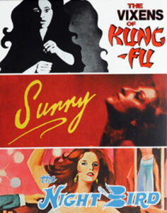 The Vixens of Kung Fu /  Sunny /  The Night Bird
