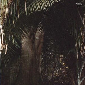 Urwald , Acid Pauli