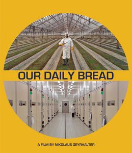 Our Daily Bread