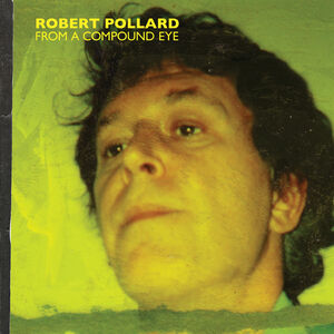From A Compound Eye , Robert Pollard