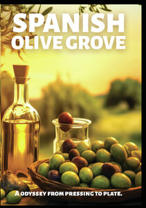 Spanish Olive Grove