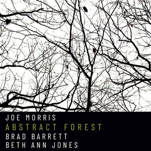 Abstract Forest , Joe Morris