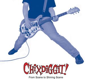 From Scene to Shining Scene , Chixdiggit!