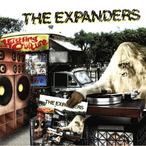 Hustling Culture , The Expanders