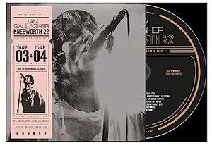Knebworth 22 , Liam Gallagher