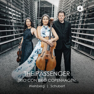 Passenger , Trio con Brio Copenhagen