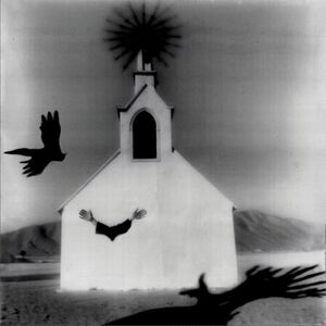 Ink & Oil [Import] , Laetitia Sadier & Storefront Church
