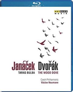 Wood Dove / Taras Bulba