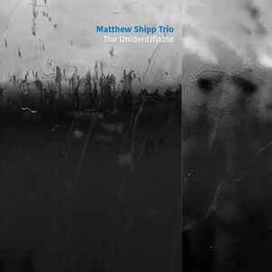 The Unidentifiable , Matthew Shipp