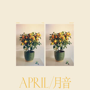 April , Emmy the Great