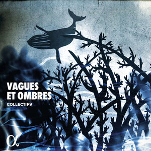 Vagues Et Omb