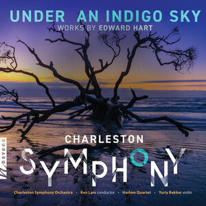 Under an Indigo Sky , Charleston Symphony Orchestra