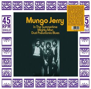 In The Summertime , Mungo Jerry