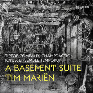 Basement Suite , Ictus