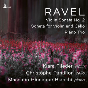 Violin Sonata No. 2 in G Major Sonata for Violin , Massimo Giuseppe Bianchi