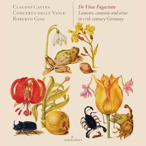 De Vitae Fugacitate: Laments Cantatas & Arias , Concerto delle Viole