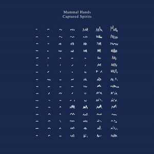 Captured Spirits , Mammal Hands