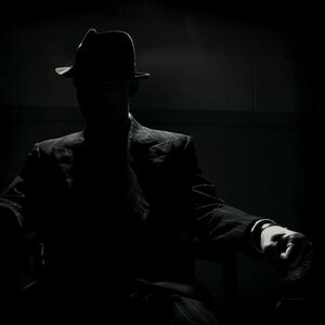 Coma Noir , Atlas Moth