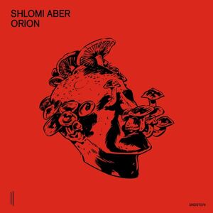 Orion , Shlomi Aber