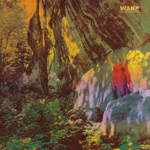 Thought Form Descent , The Wake