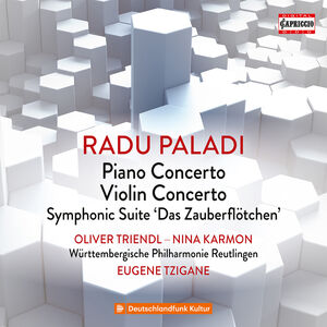 Piano Concerto / Violin Concerto , Oliver Triendl